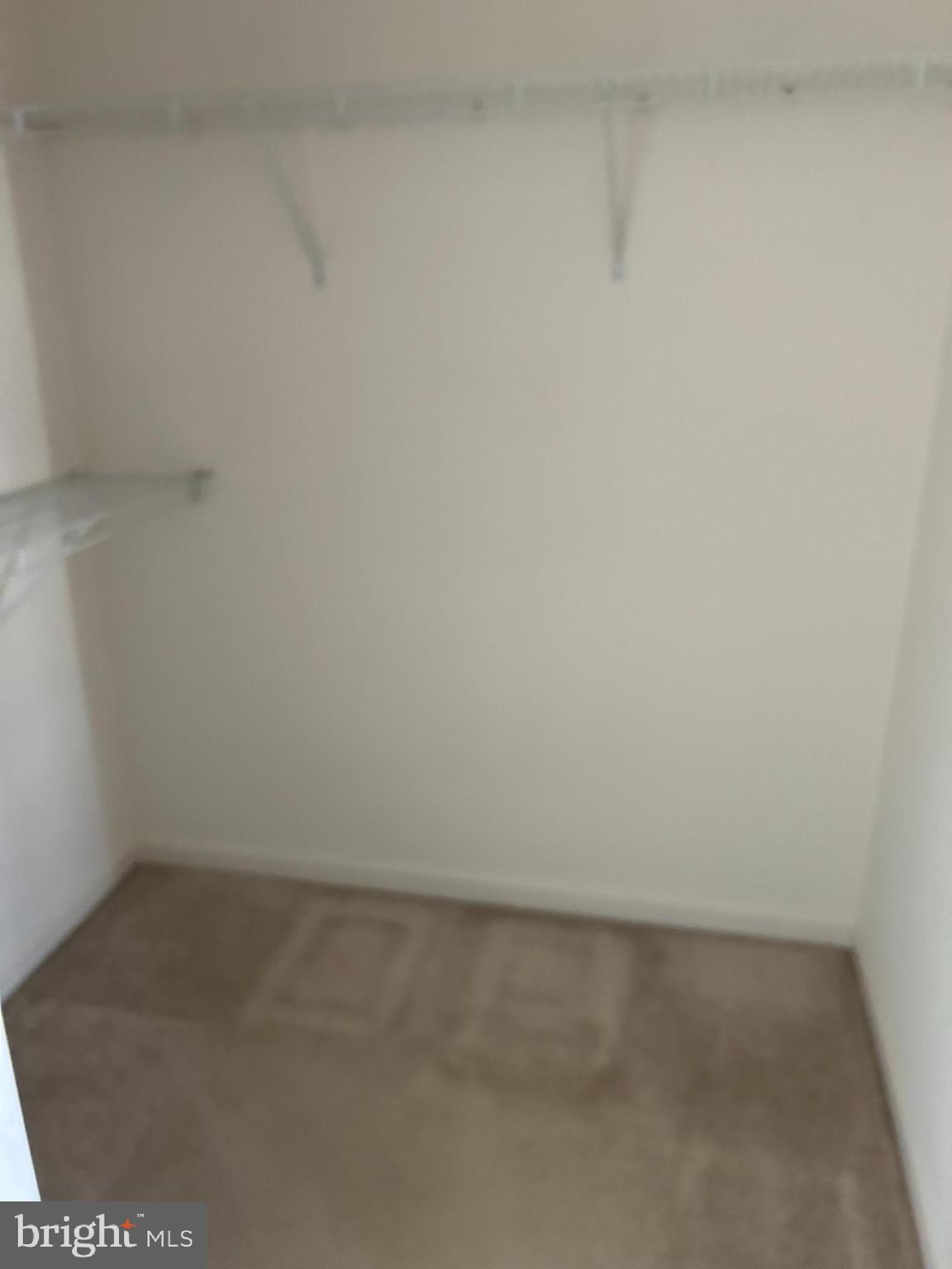 ELLERY PLACE - Residential Lease