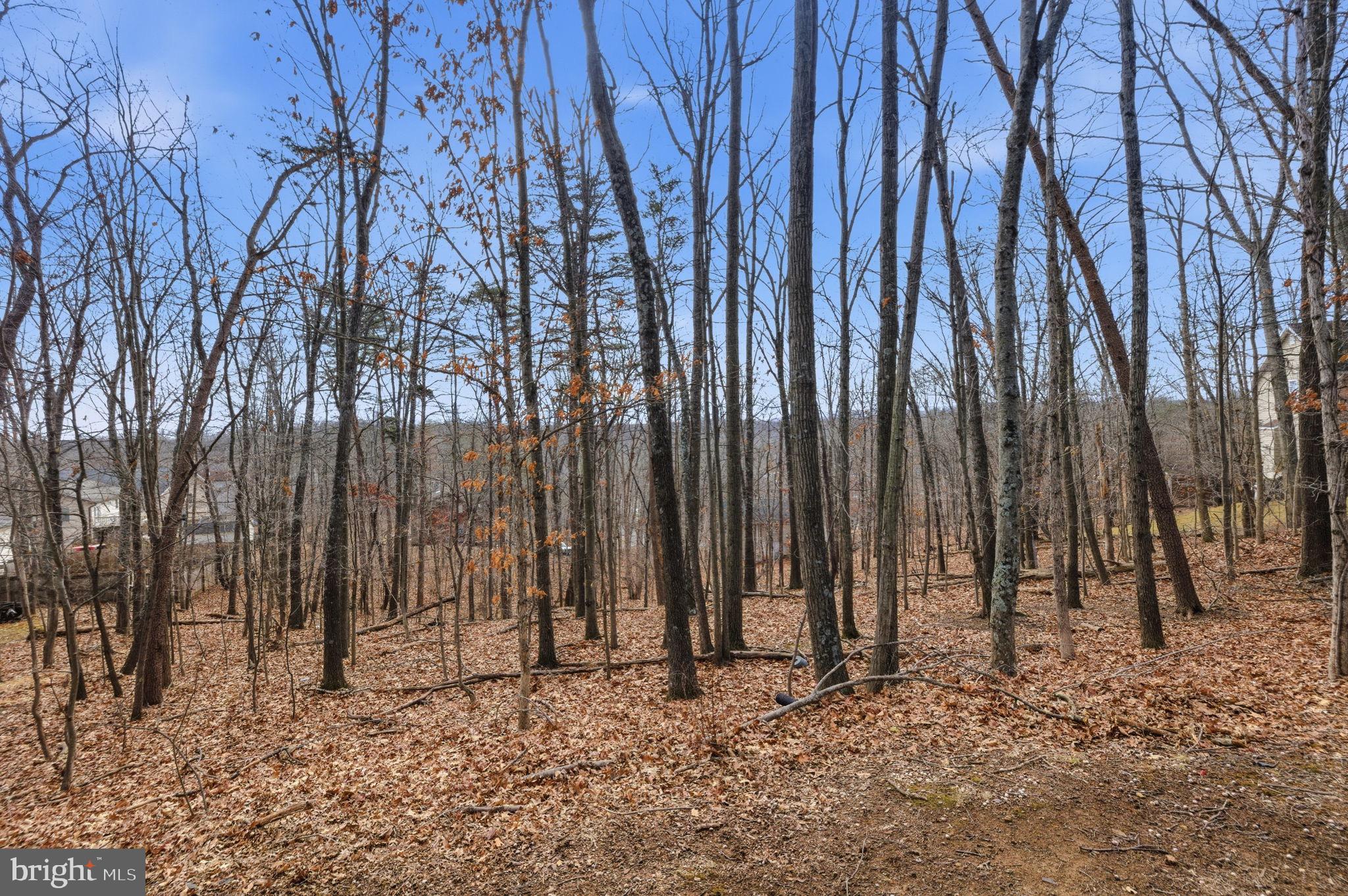 LAKE HOLIDAY ESTATES - Residential