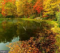 LAKE HOLIDAY ESTATES - Residential