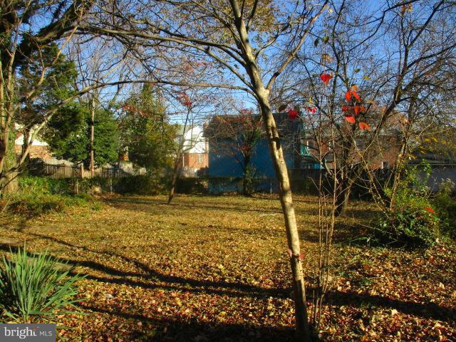 HAMILTON HEIGHTS - Residential