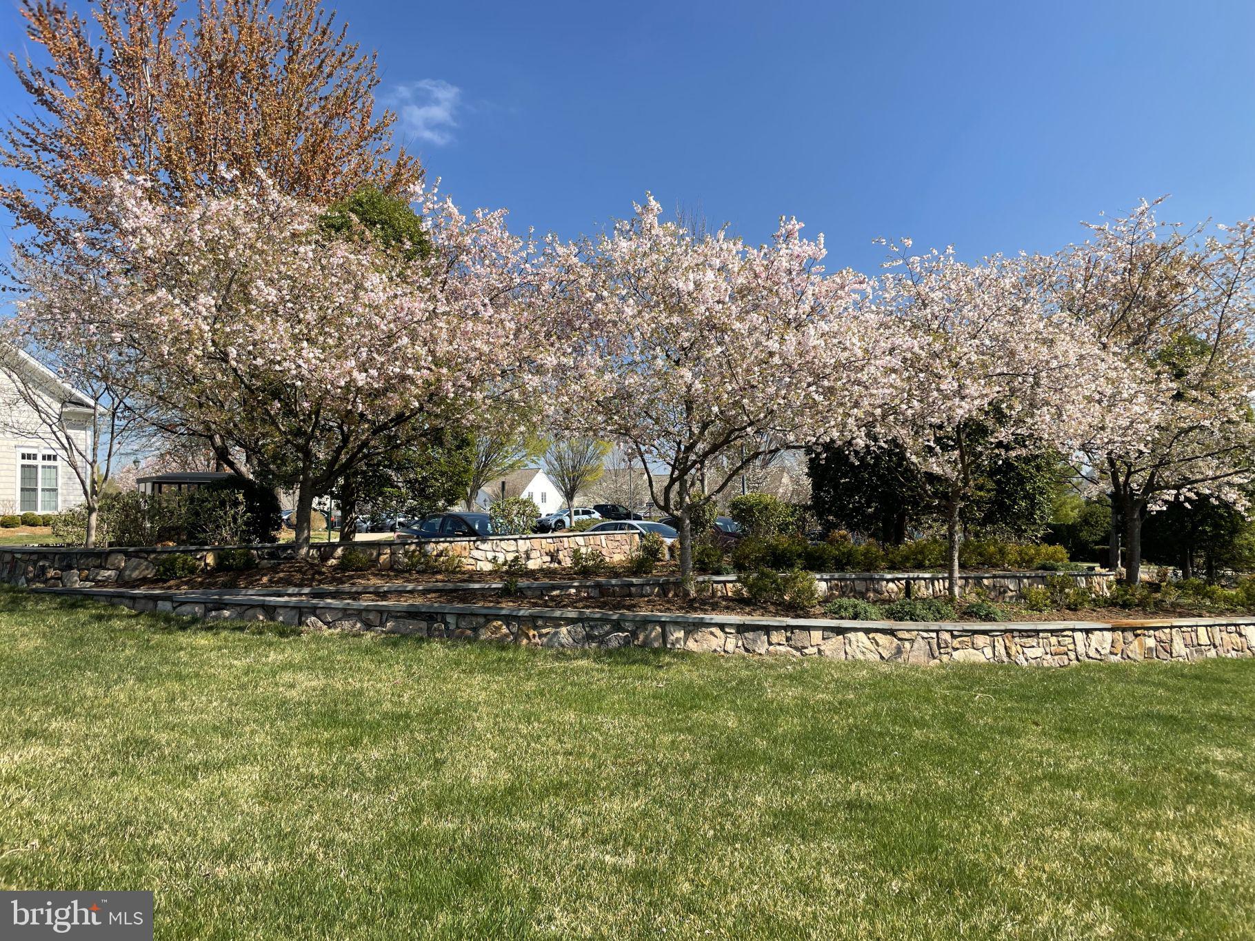 POTOMAC GREEN - Residential