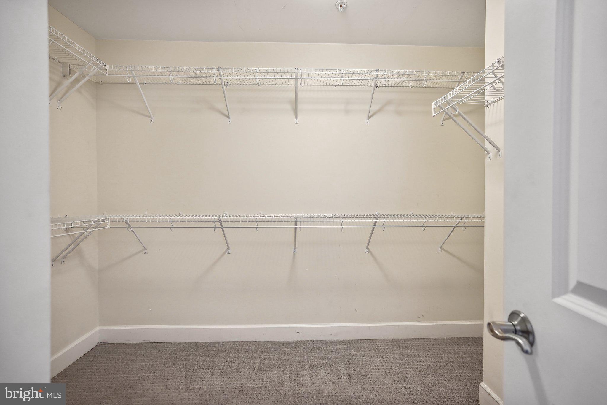 HAMILTON PARK - Residential