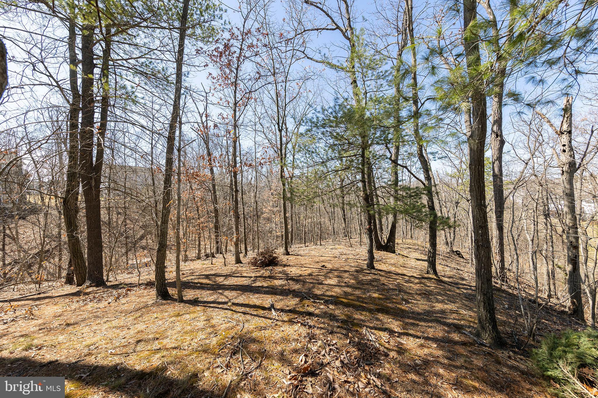 ABRAMS POINTE - Residential