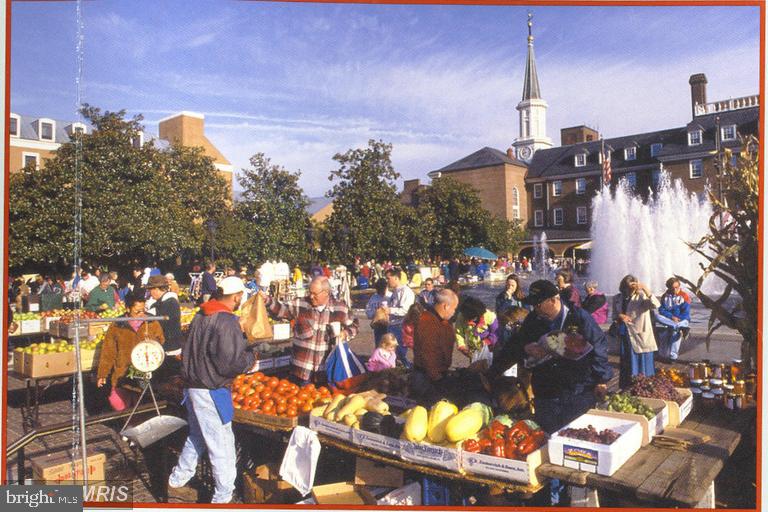 OLD TOWN COMMONS - Residential Lease