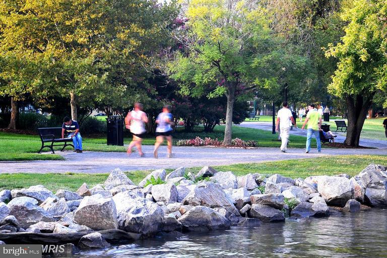 OLD TOWN COMMONS - Residential Lease