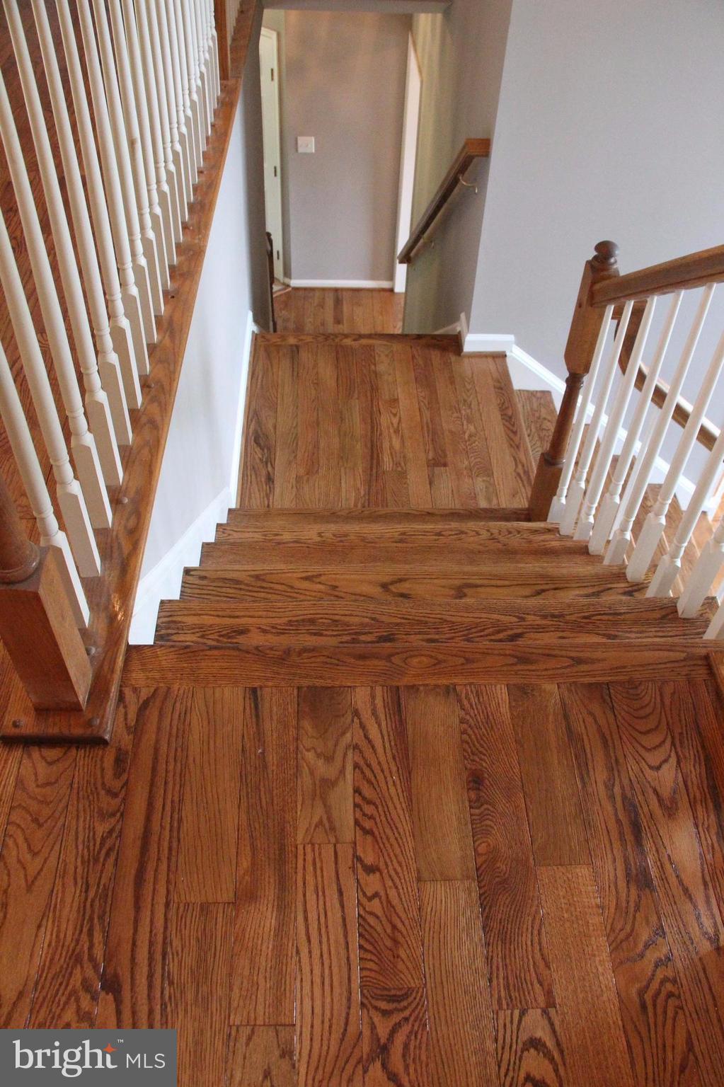 SHELTONS RUN - Residential