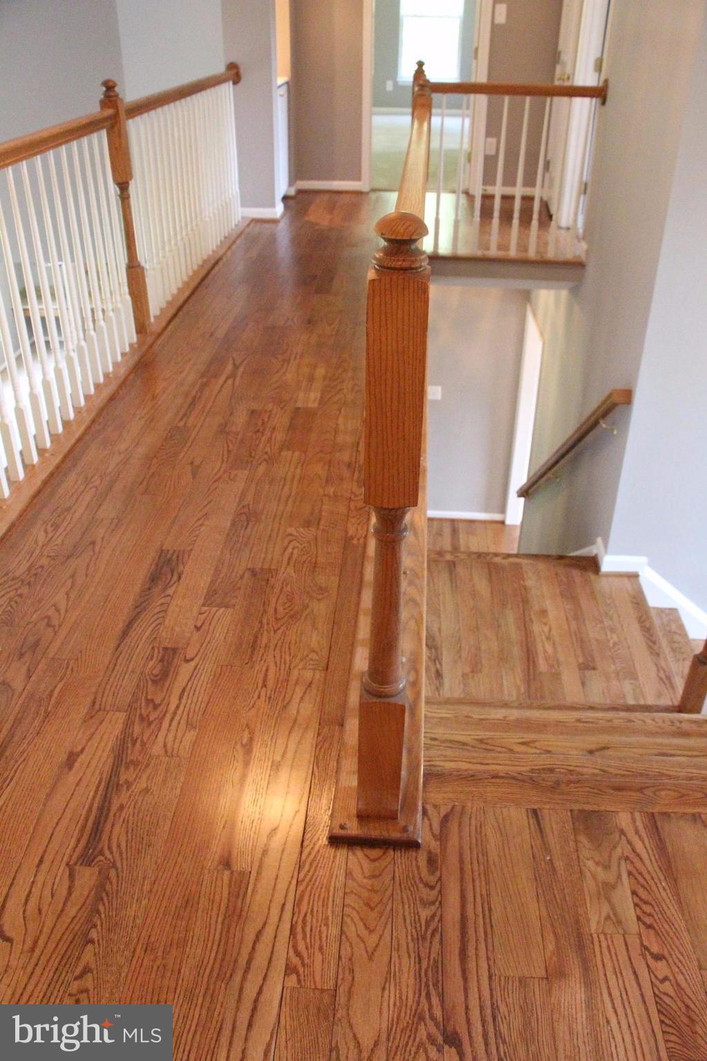 SHELTONS RUN - Residential