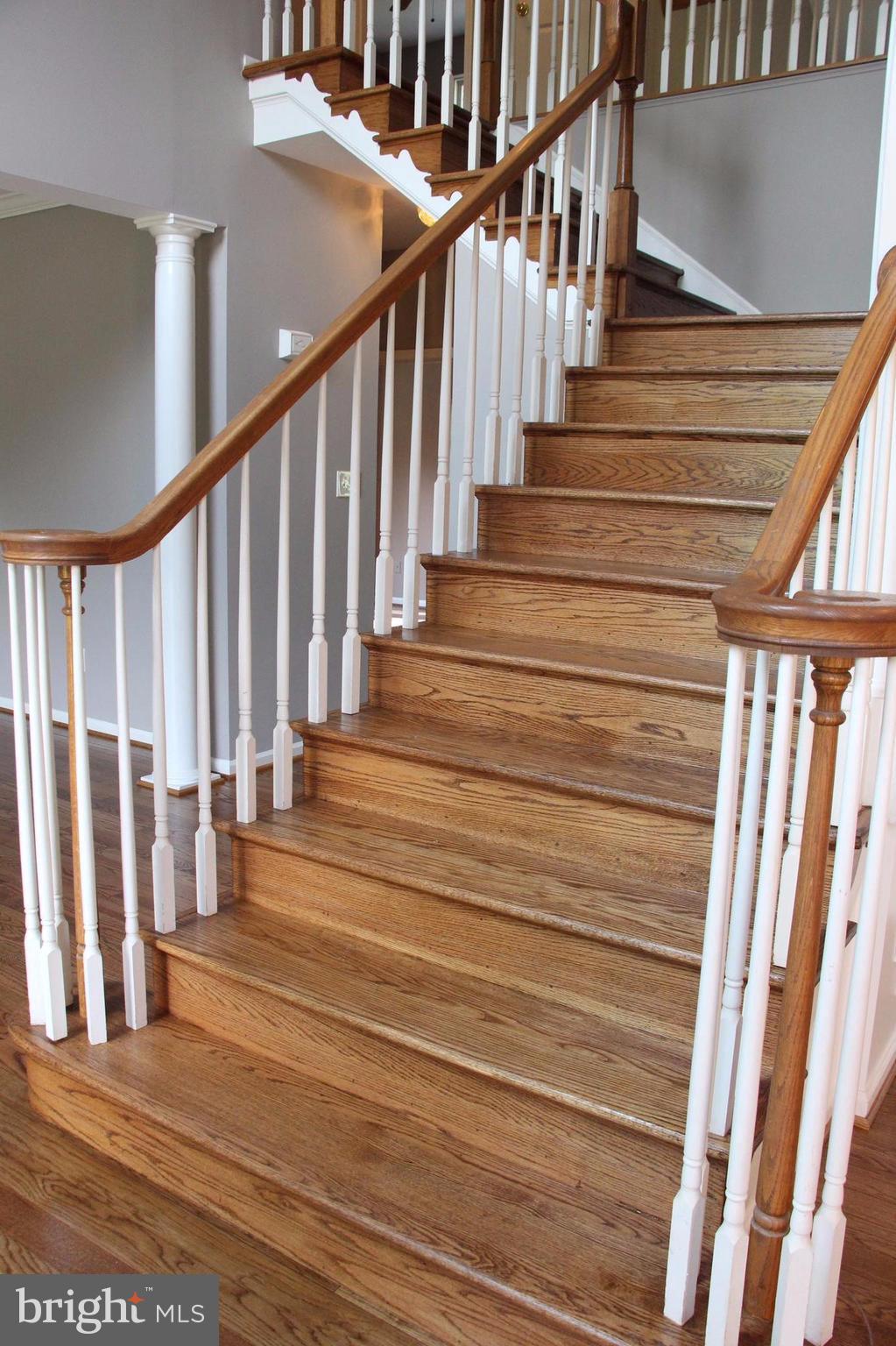 SHELTONS RUN - Residential