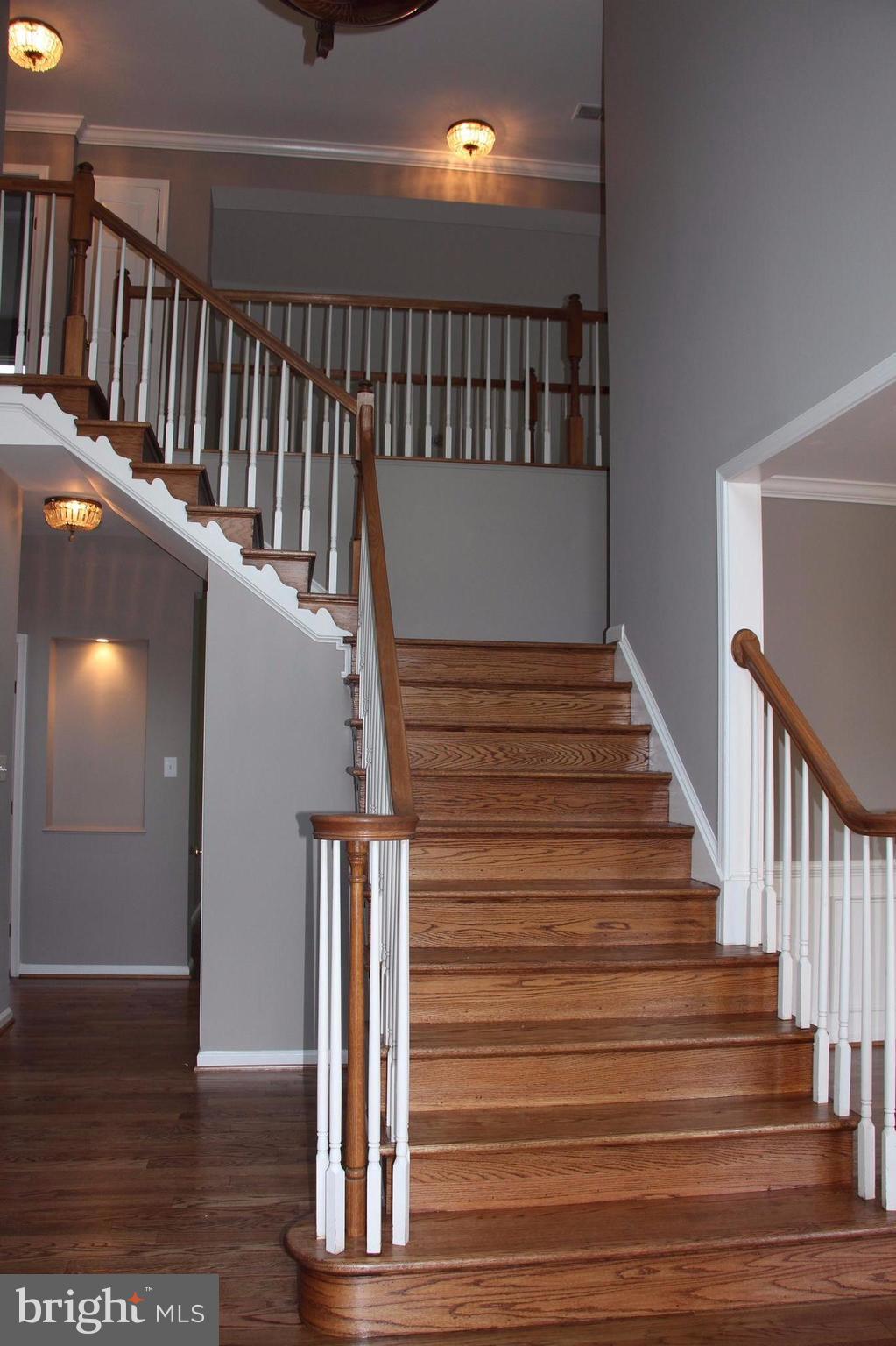 SHELTONS RUN - Residential