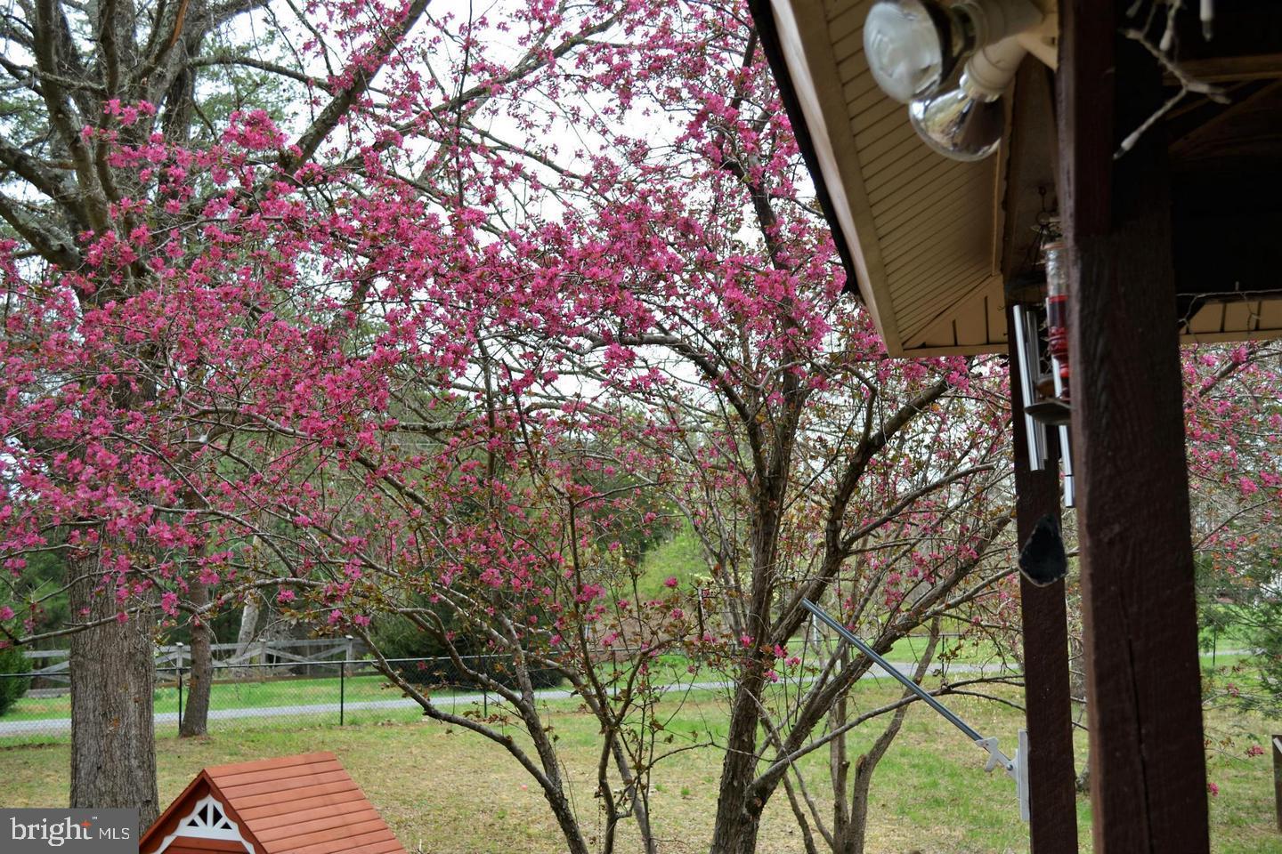 OAKWOOD LAKE ESTATES - Residential