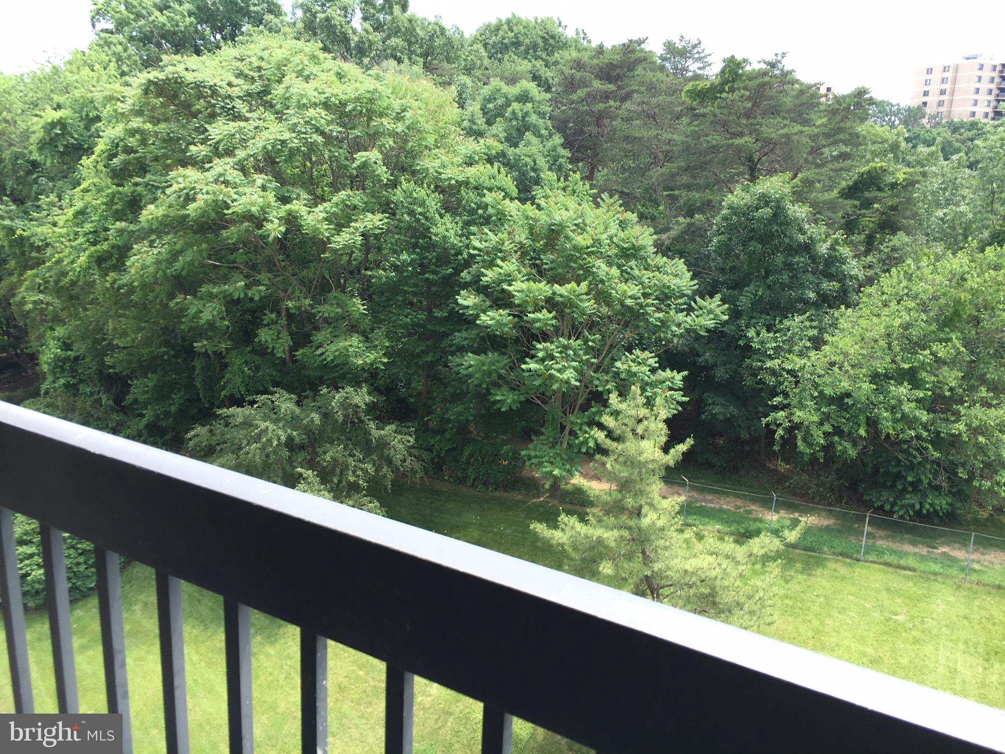 SENTINEL OF LANDMARK - Residential