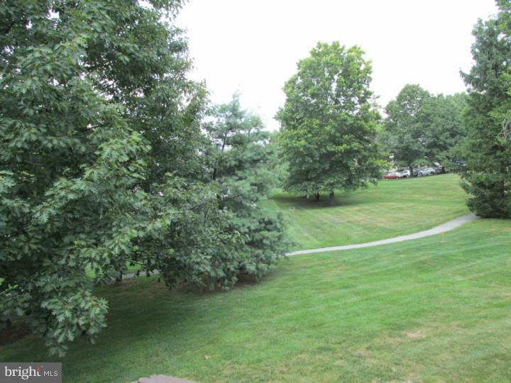 WILLISTOWN WOODS - Residential