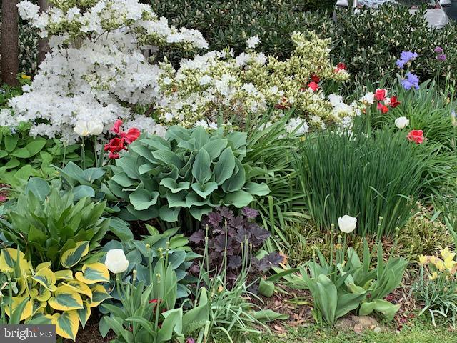 ROSEMONT - Residential