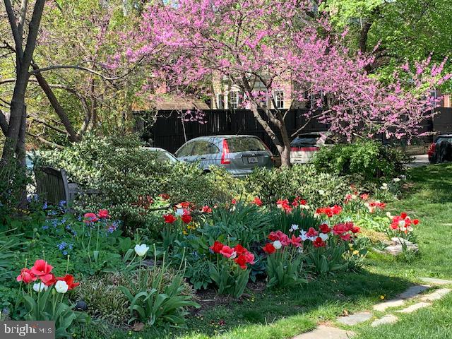 ROSEMONT - Residential