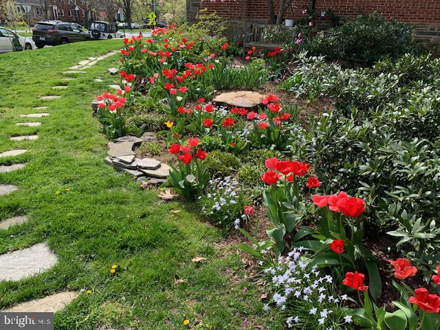 ROSEMONT - Residential