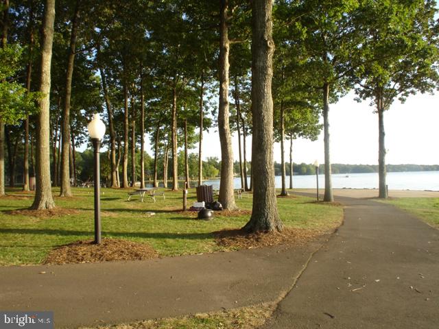 LAKE OF THE WOODS - Residential