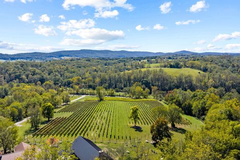 Photo of 38600 Little River Tpke, MIDDLEBURG, VA 20117 (MLS # VALO2119982)