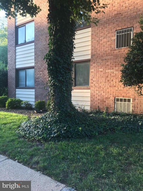 Condo For Rent - 10724 West Drive #101<br/> Fairfax City County, FAIRFAX, VA 22030