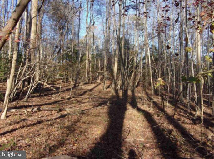 Don't miss this exciting opportunity to develop 9.73 acres of pristine and beautiful forest land located within the established Mount Pleasant subdivision! This property is 6 minutes from Dares Beach and a convenient commute to Washington, DC, Baltimore, and Annapolis.