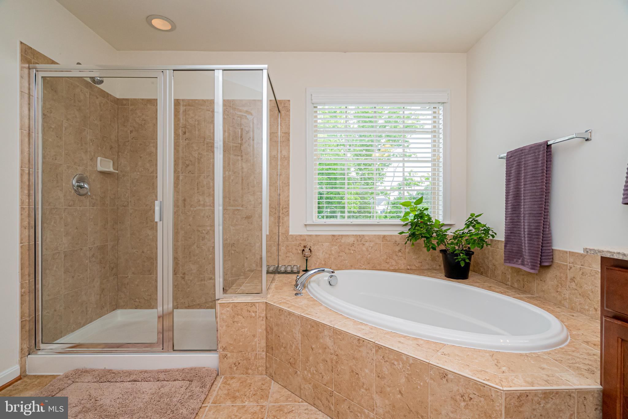 ALEXANDERS CHASE - Residential