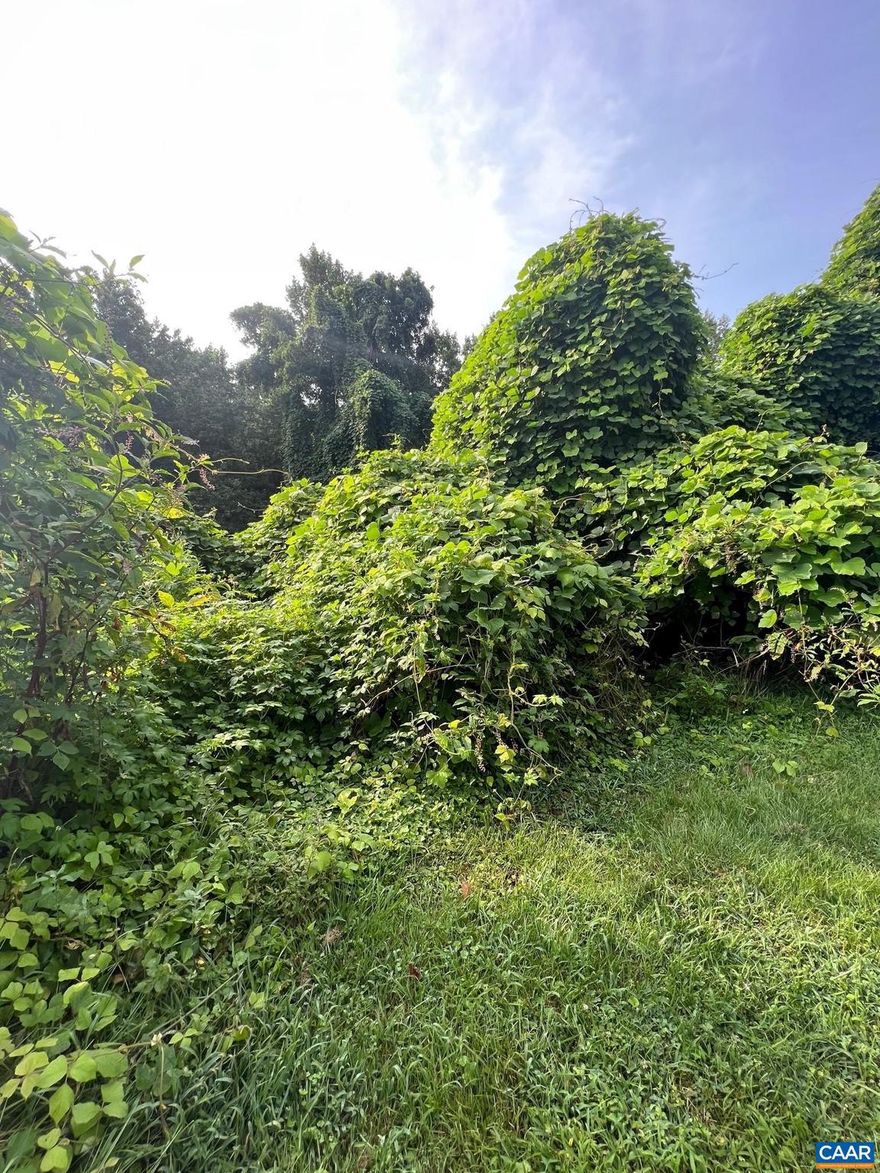 Lot in Established Neighborhood on Sunset Dr. Madison Heights, between 2 addresses ( 249 Sunset Drive Madison Heights, and 257 Sunset Drive Madison Heights). Buyer's should investigate with Amherst County regarding allowed buildings/development. County data shows 56' road frontage. Electric & Water Available. No soil test have been conducted on the property.