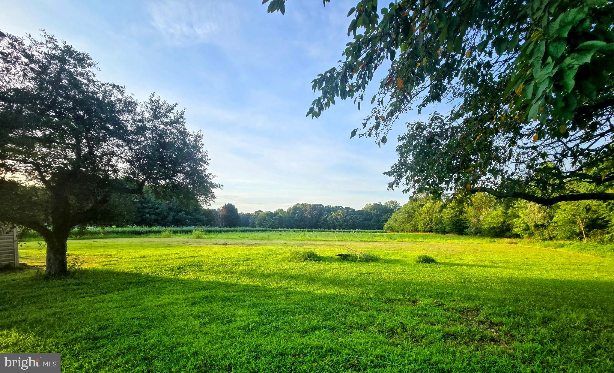 NONE  NO HOA - Residential