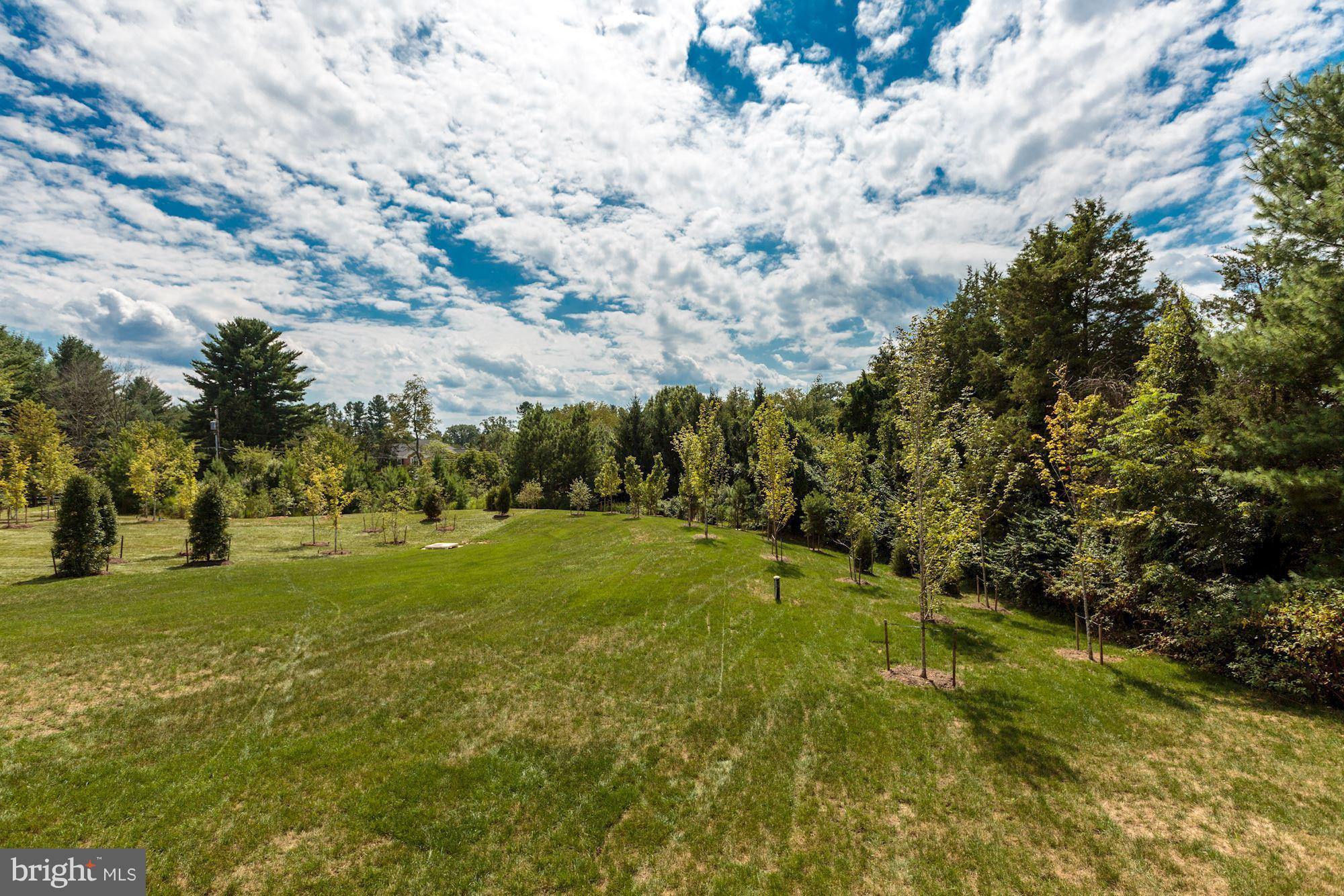ESTATES AT LEIGH MILL - Residential