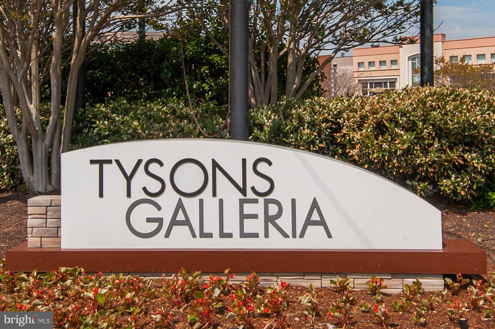 WOLF TRAP WOODS - Residential