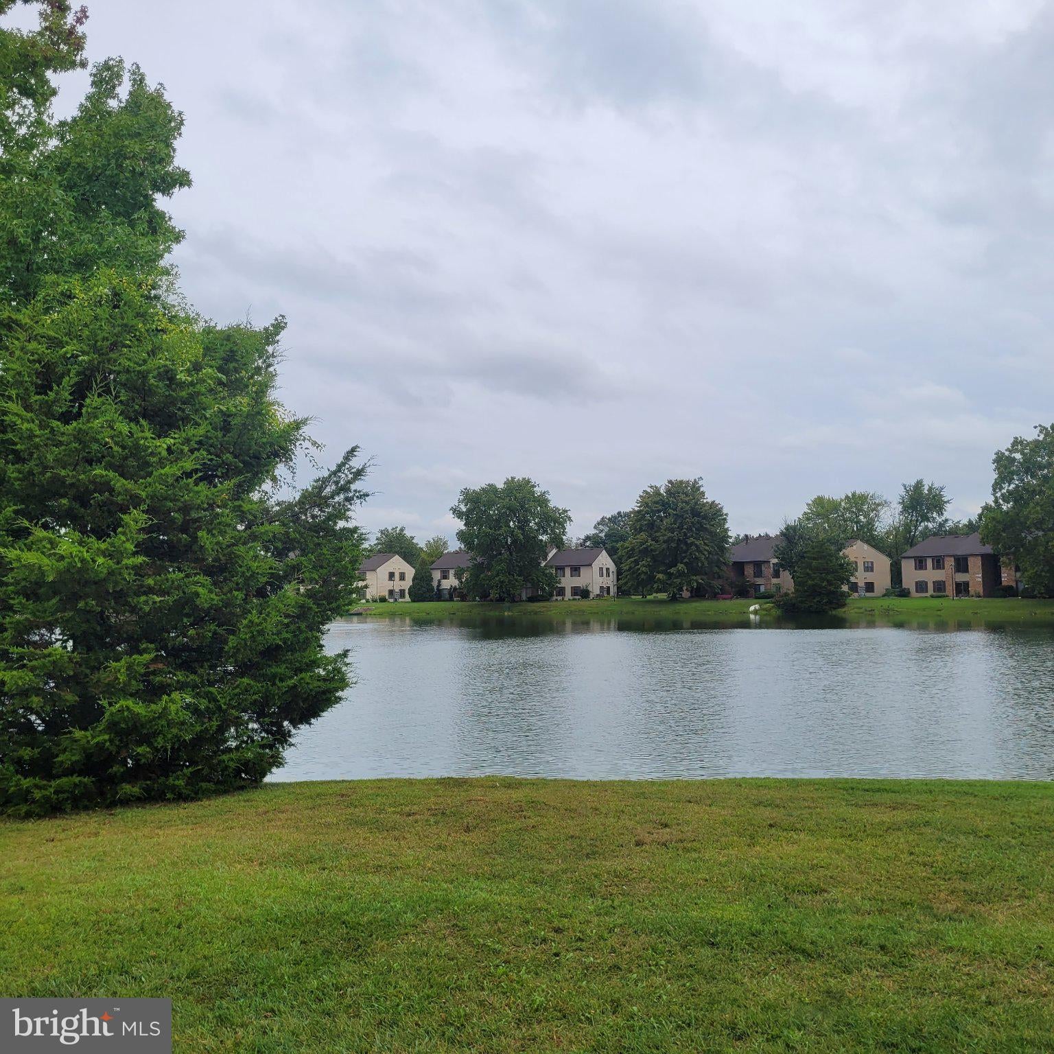 41 VIBURNUM LANE