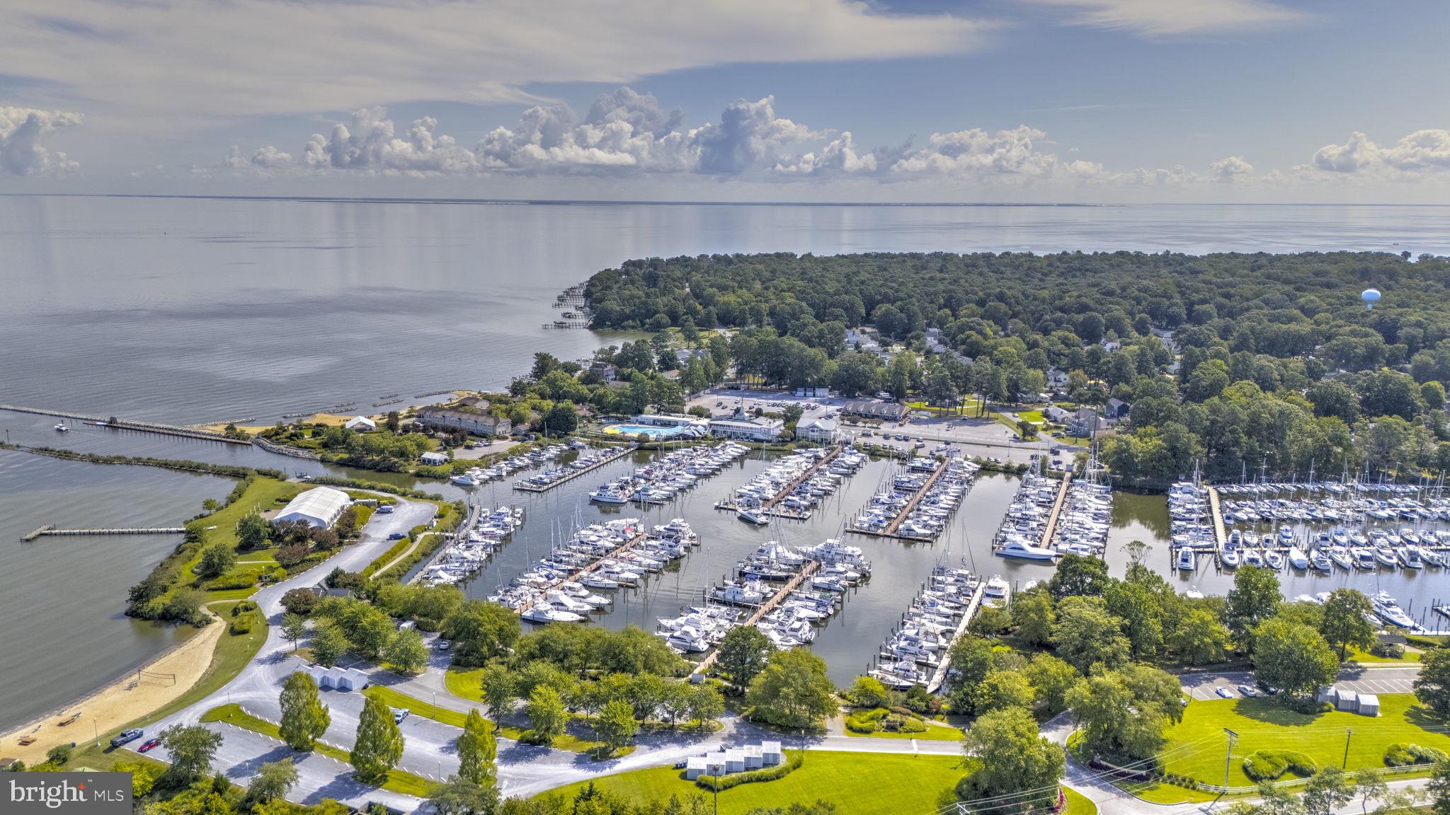 CHESAPEAKE OVERLOOK - Residential