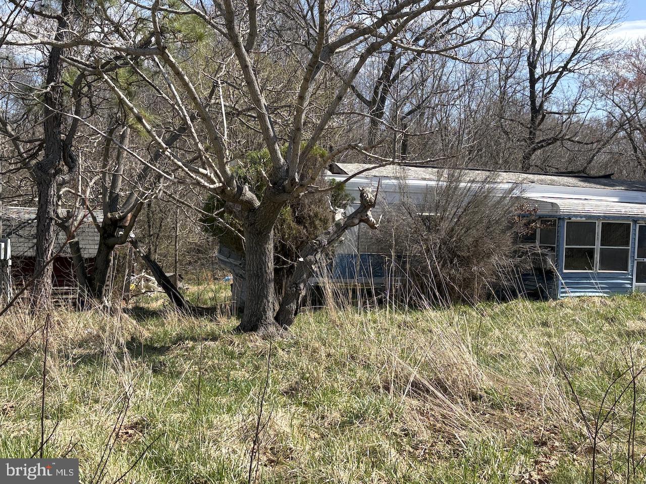 290 SKINNERS TURN ROAD