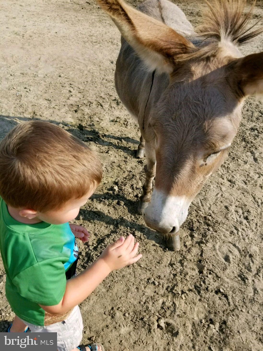 WESTMORELAND SHORES - Residential