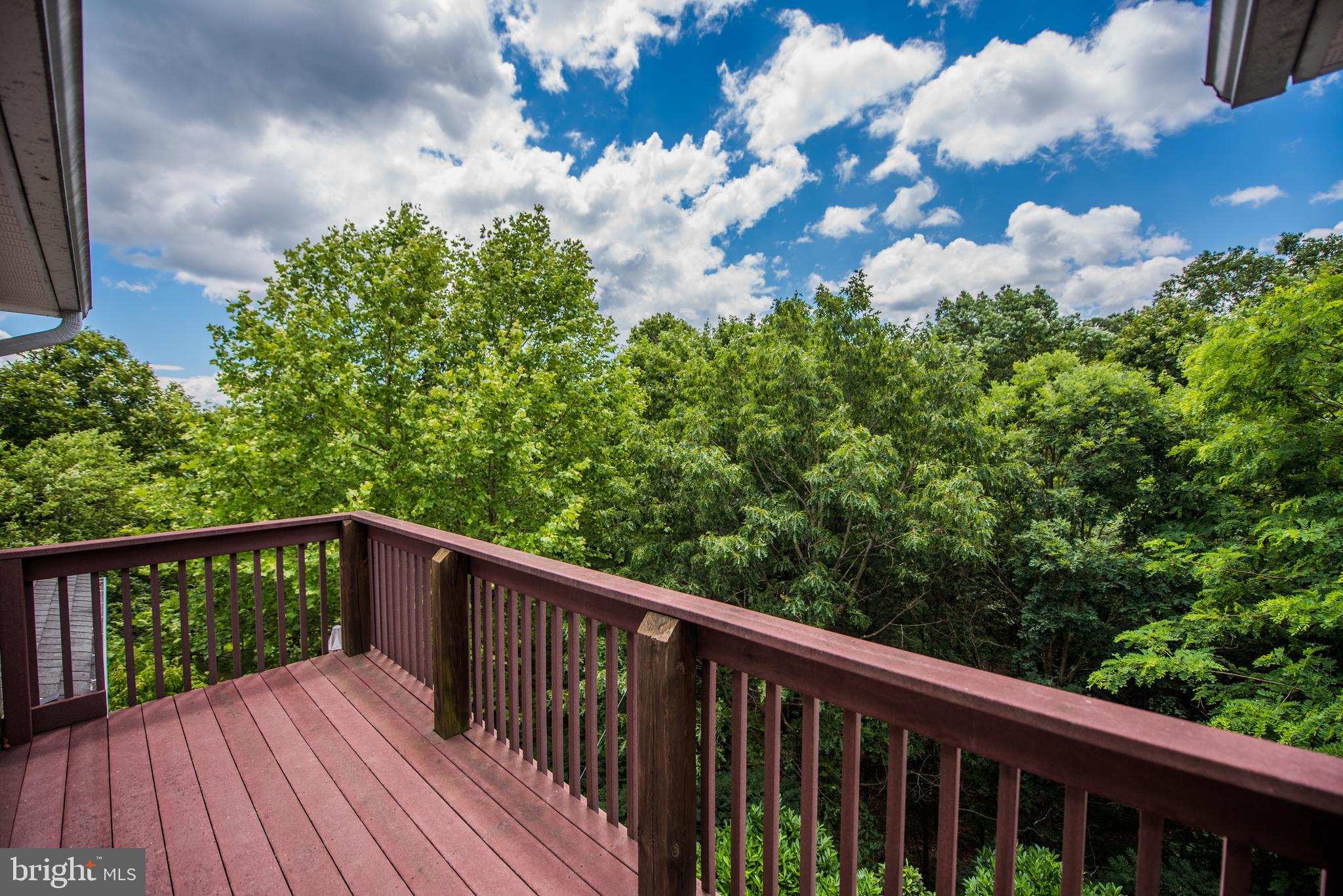 CACAPON SOUTH - Residential