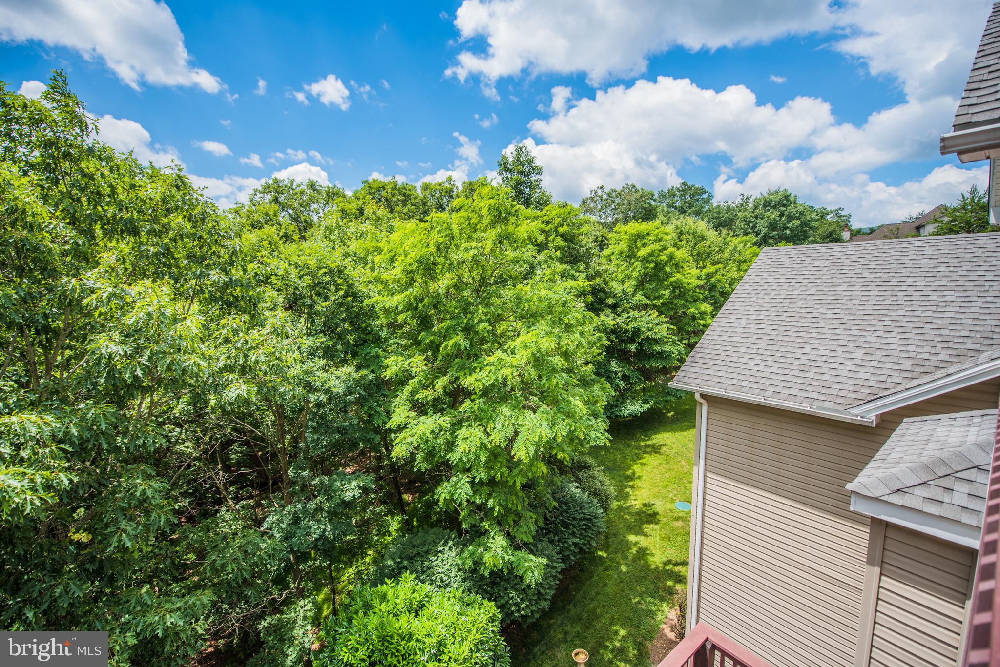 CACAPON SOUTH - Residential