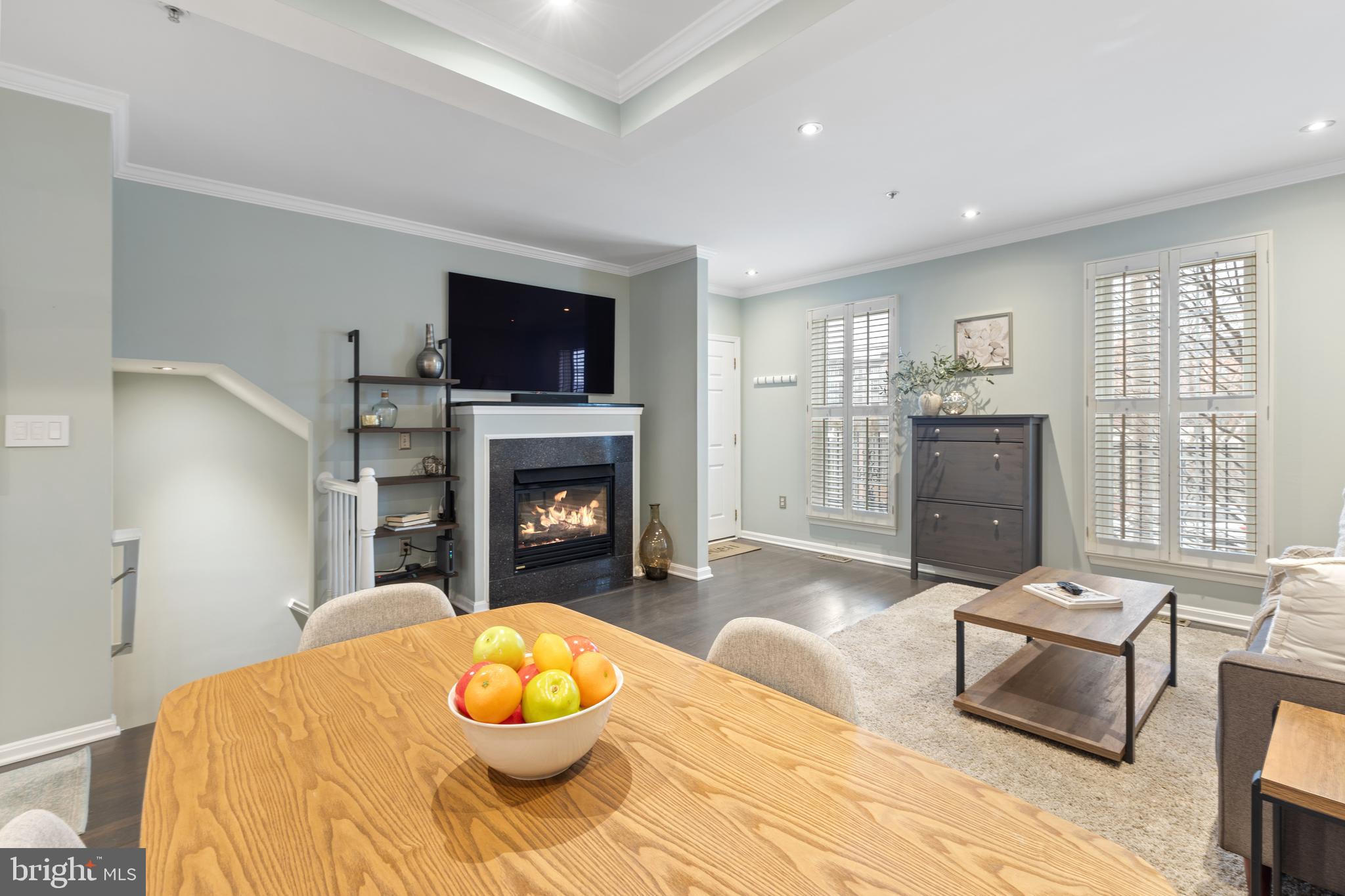 1613 POTOMAC GREENS DRIVE A