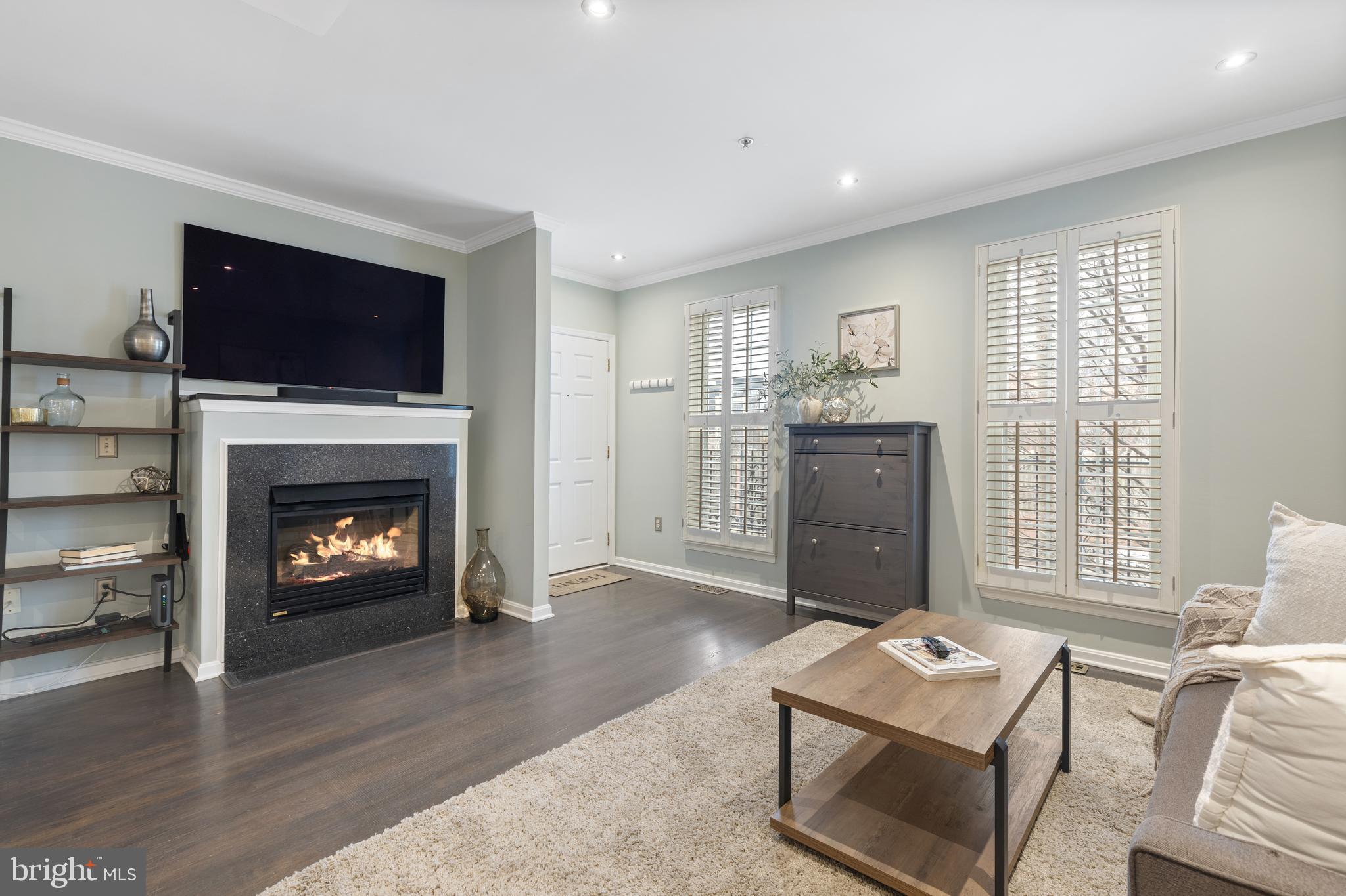 1613 POTOMAC GREENS DRIVE A