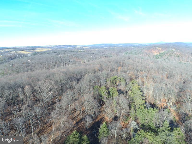 QUIVEYS GROVE - Land