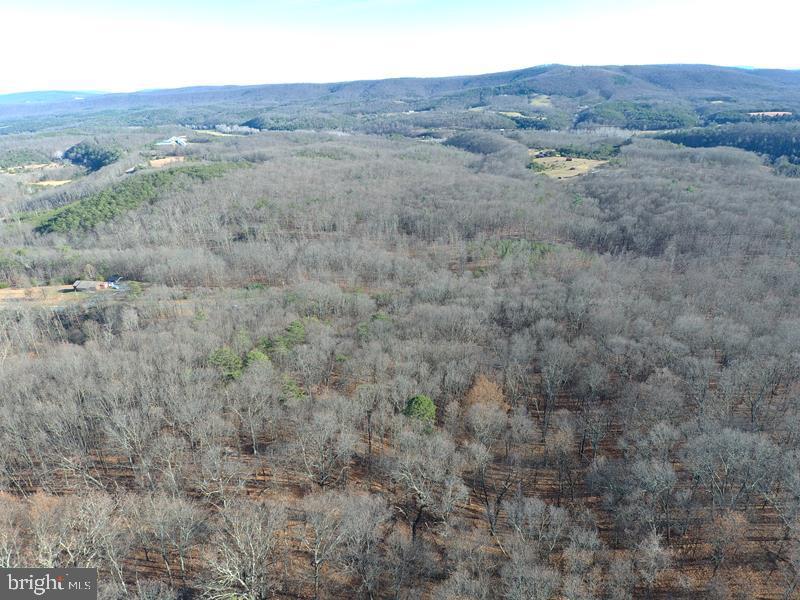 QUIVEYS GROVE - Land