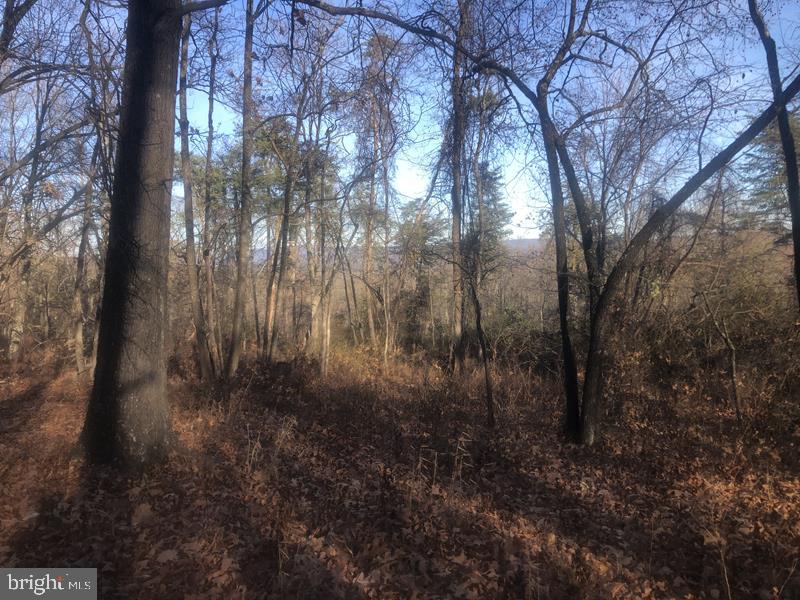 QUIVEYS GROVE - Land