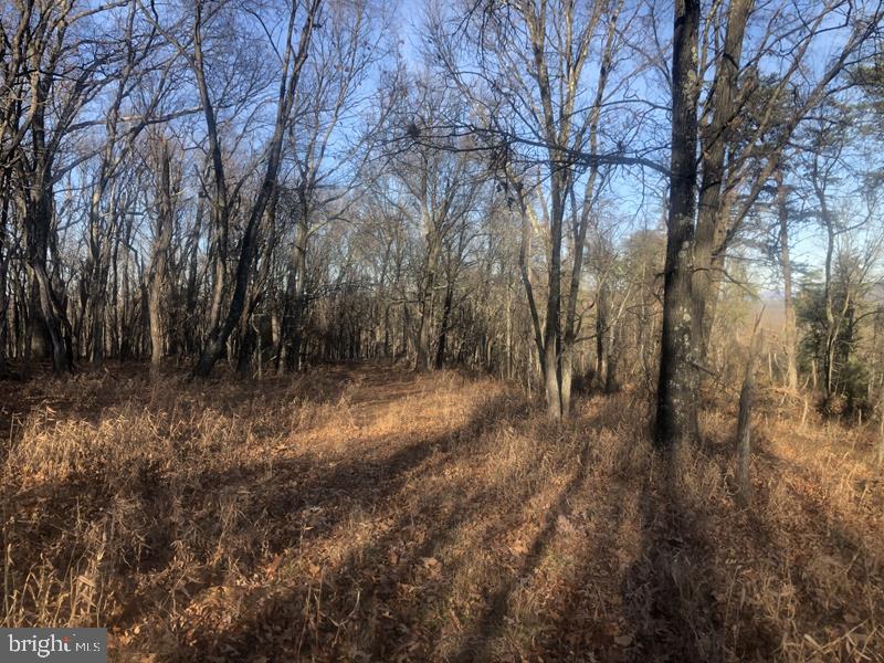 QUIVEYS GROVE - Land