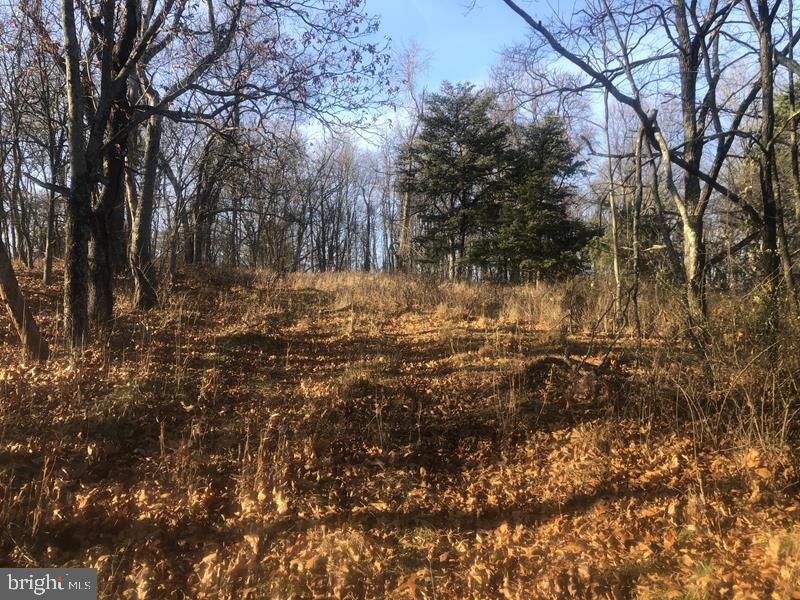 QUIVEYS GROVE - Land