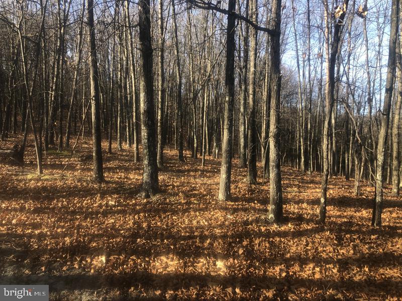 QUIVEYS GROVE - Land