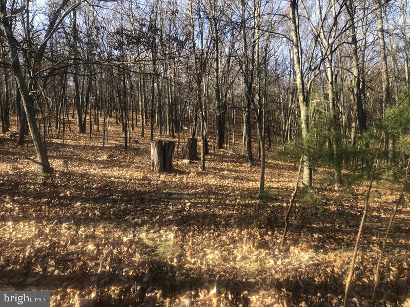 QUIVEYS GROVE - Land