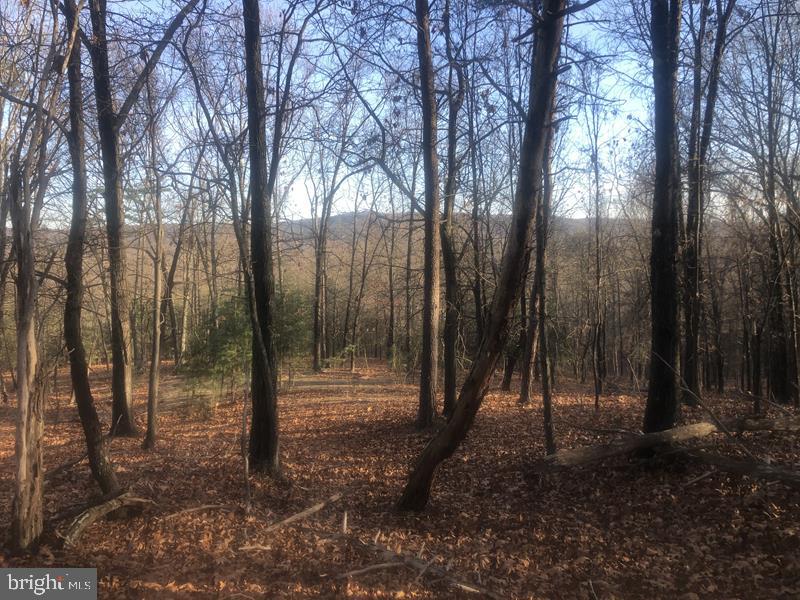 QUIVEYS GROVE - Land