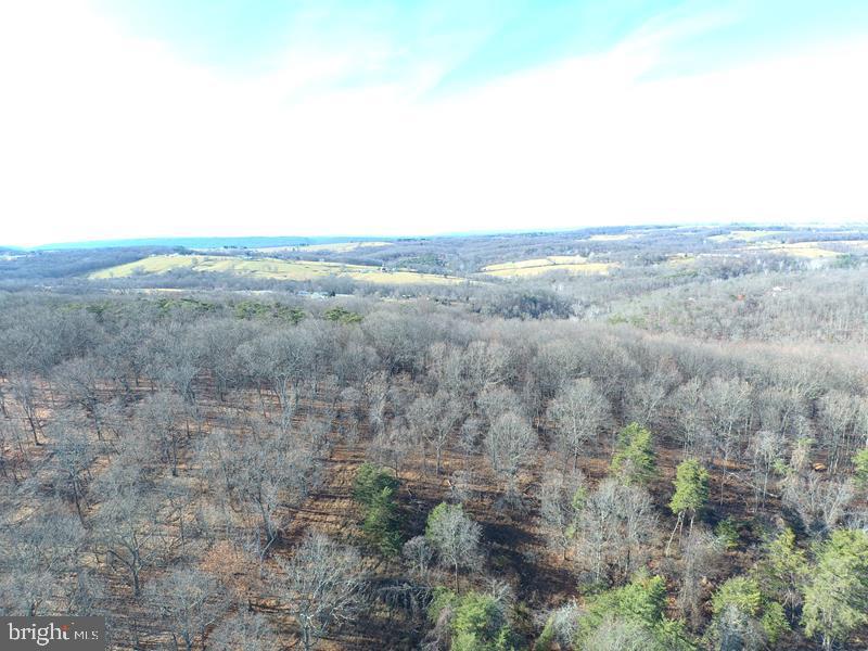 QUIVEYS GROVE - Land