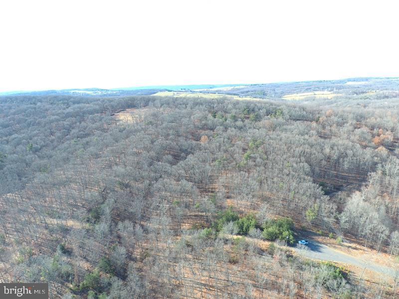 QUIVEYS GROVE - Land