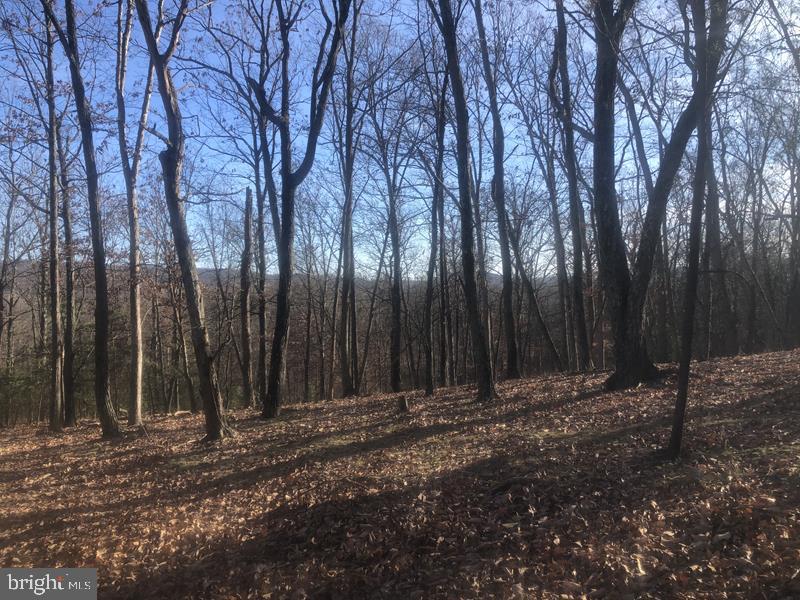 QUIVEYS GROVE - Land