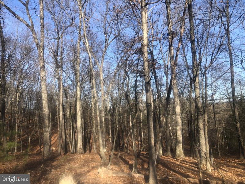 QUIVEYS GROVE - Land