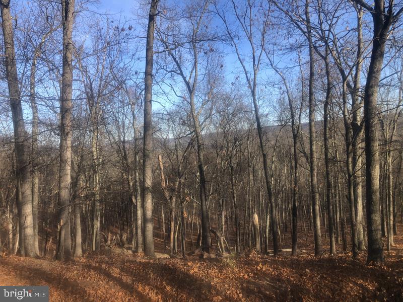 QUIVEYS GROVE - Land