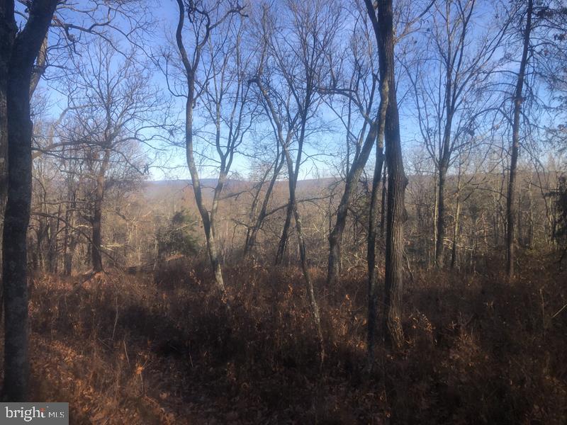 QUIVEYS GROVE - Land